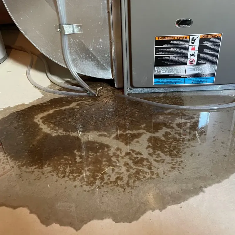 Pipe Burst and Leak Restoration in Jacksonville, AR